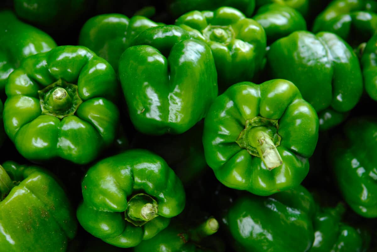 green bell peppers in a pile; dark background
