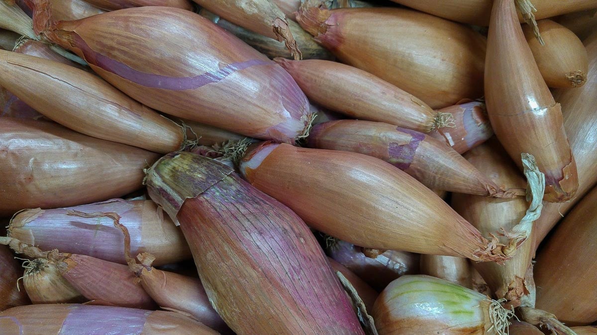 pile of shallots