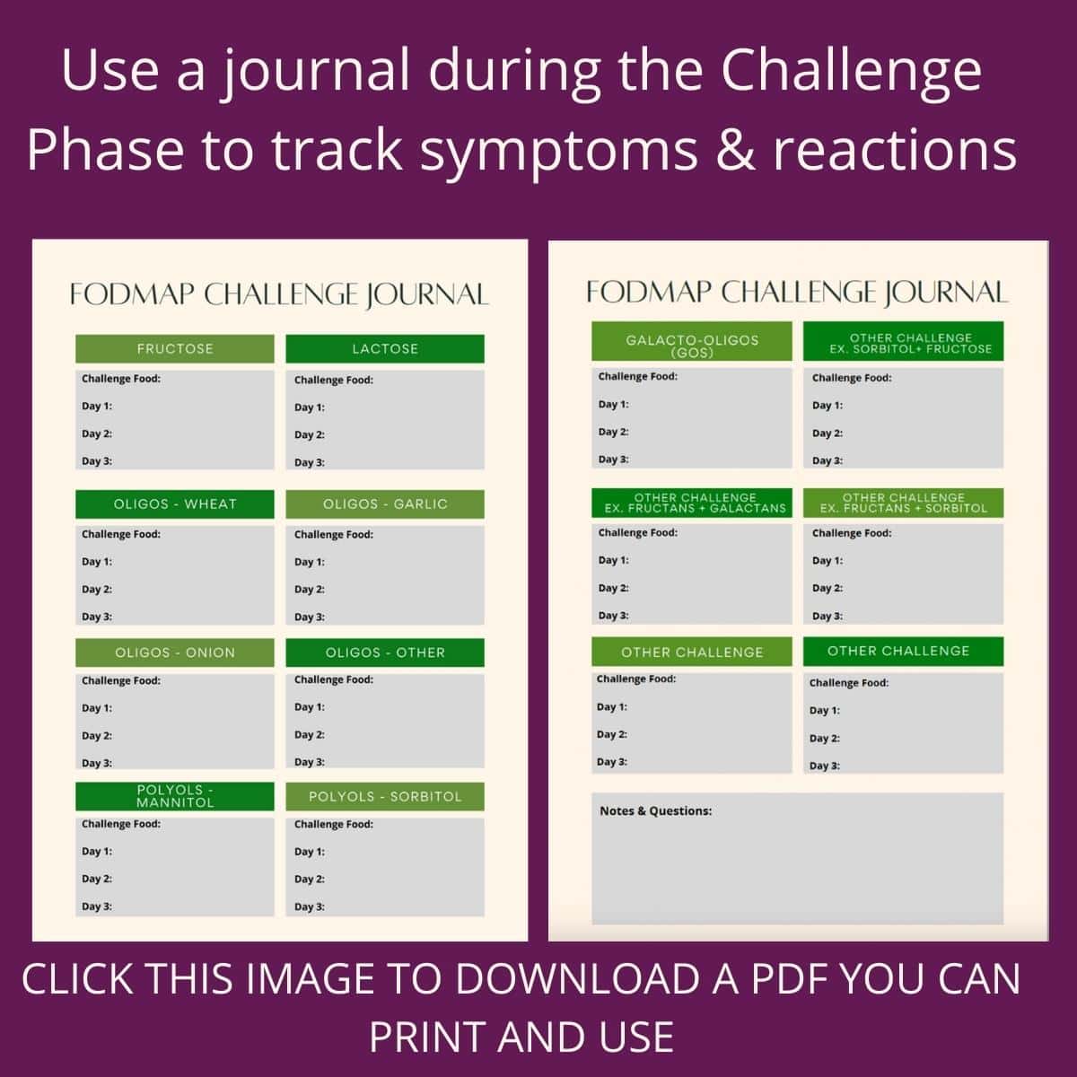 Challenge Phase Journal