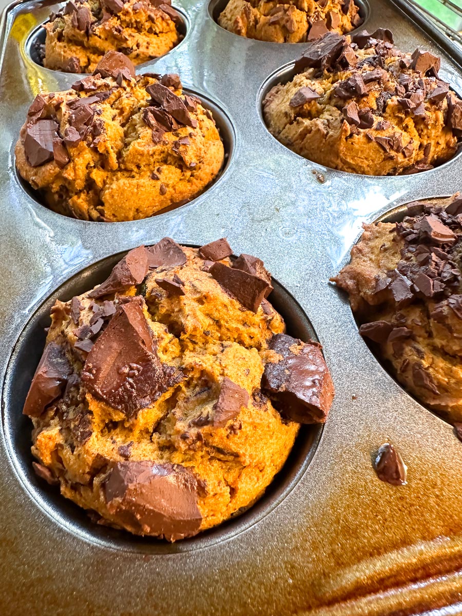 low FODMAP Pumpkin Chocolate Chunk Muffins fresh out of the oven in pans, close up