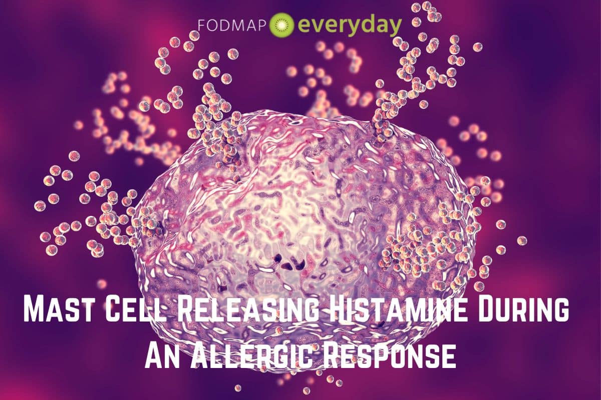 Mast Cell Releasing Histamine During An Allergic Response