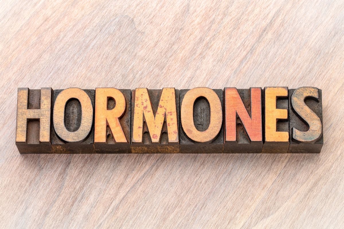 Hormones spelled out in wood blocks