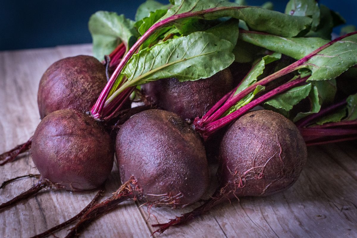 close up of beets fresh from the garden