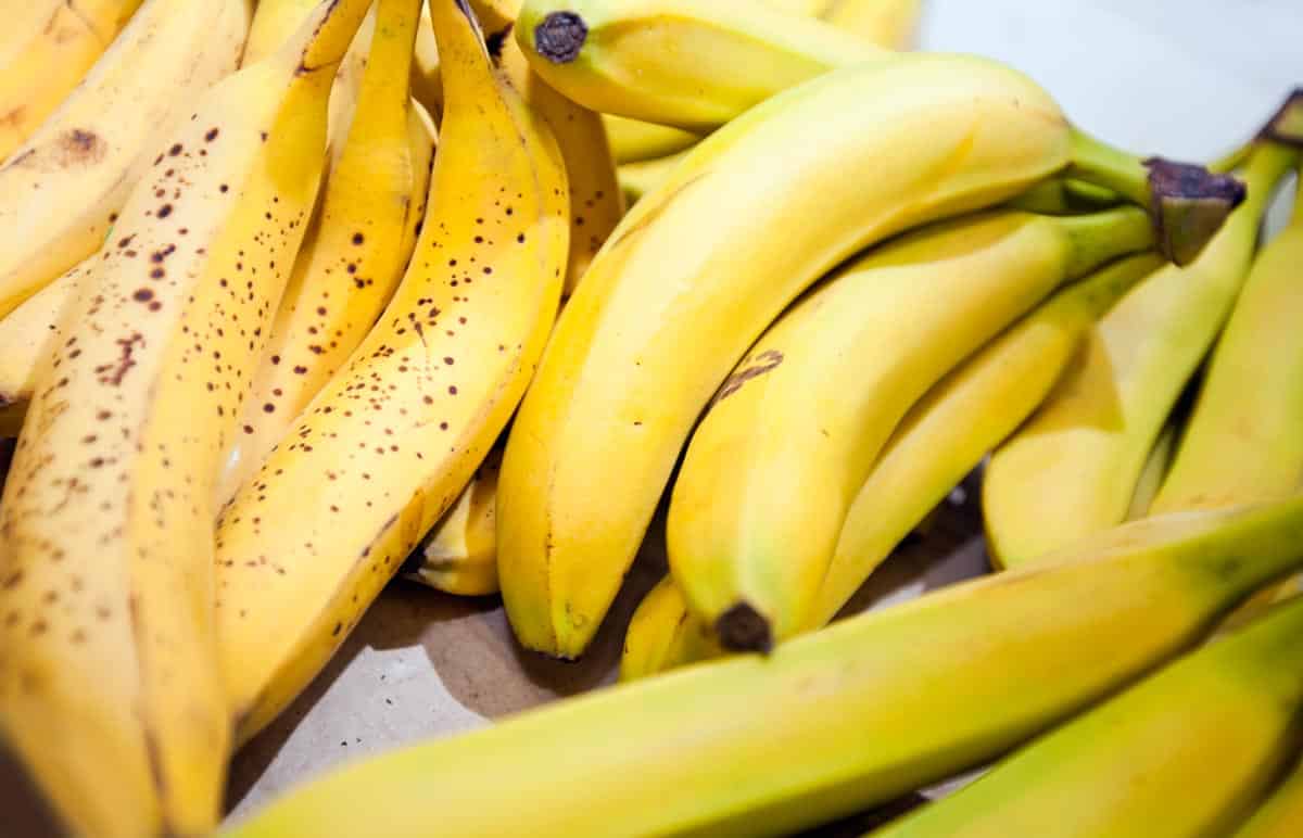 bunches of bananas, varying ripeness
