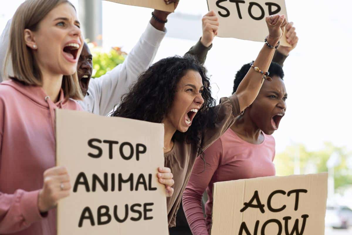 Animal rights activists