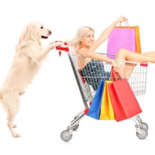 White retriever dog pushing a woman with shopping bags in a cart