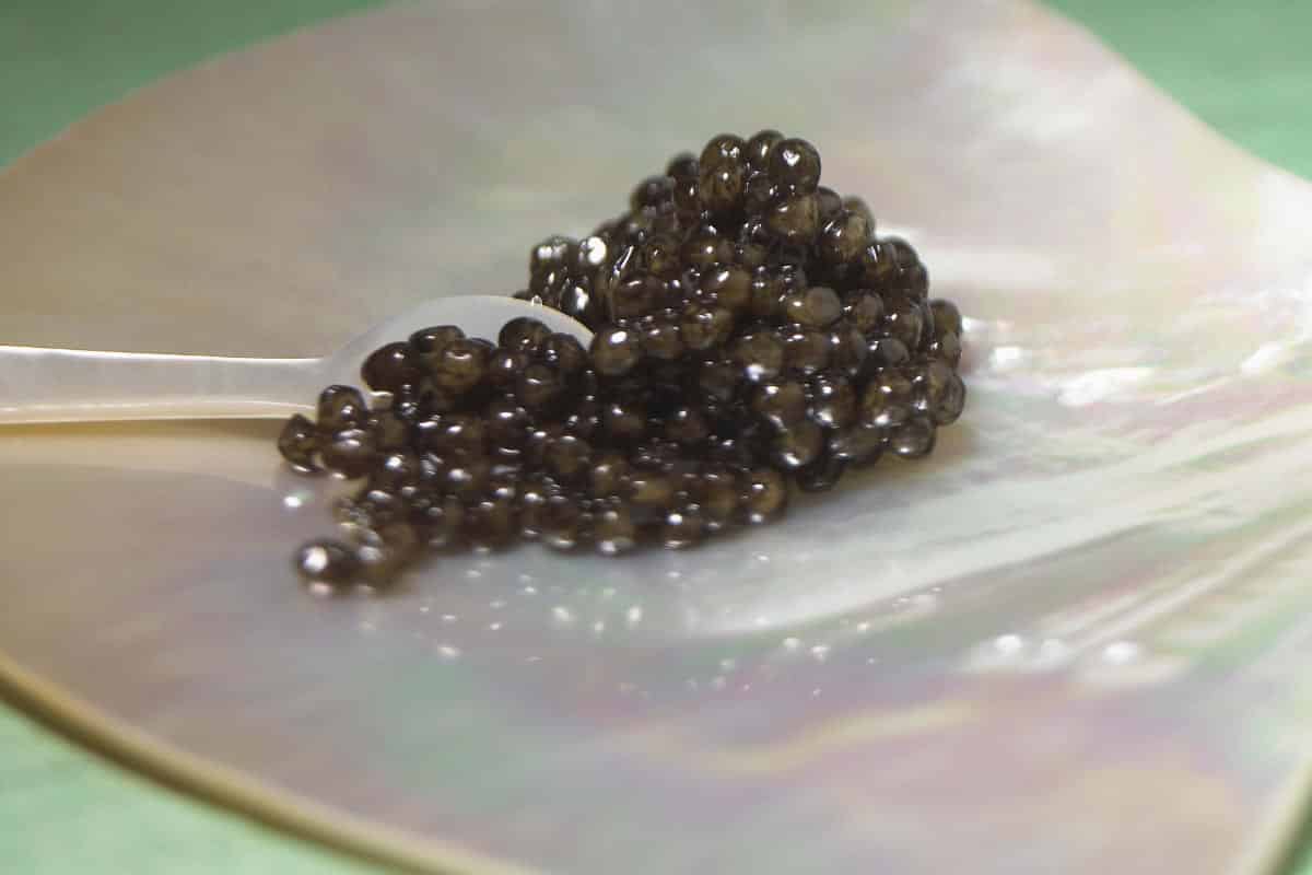 caviar.