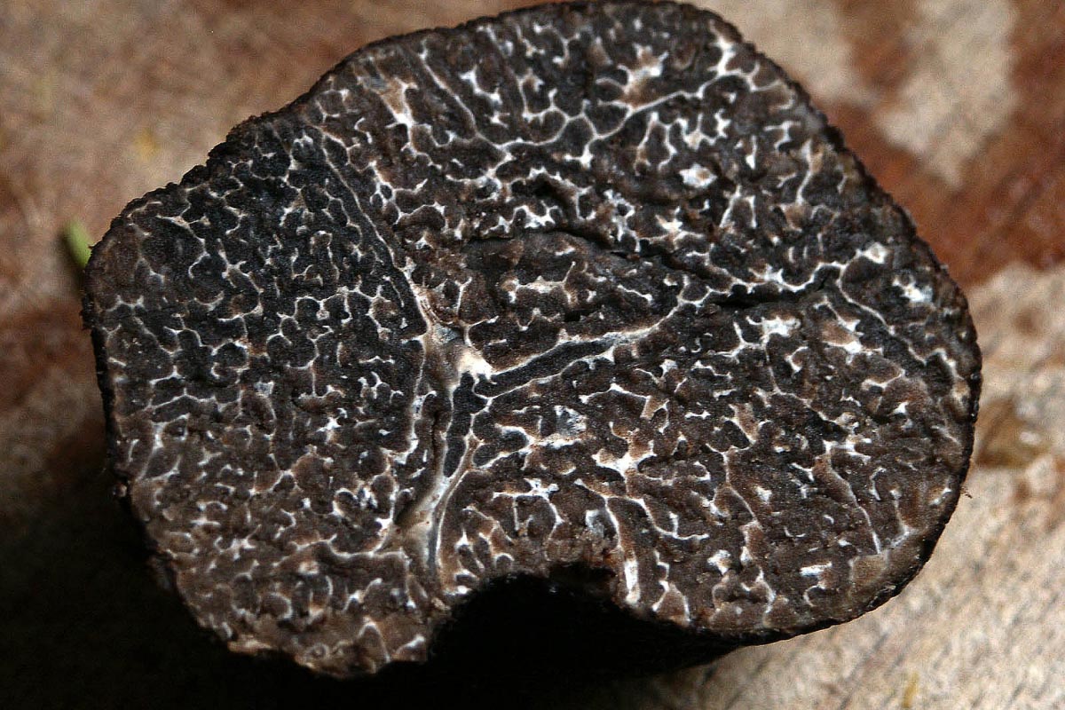 cross section of truffle.