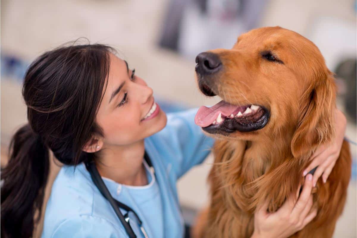 female vet with dog.