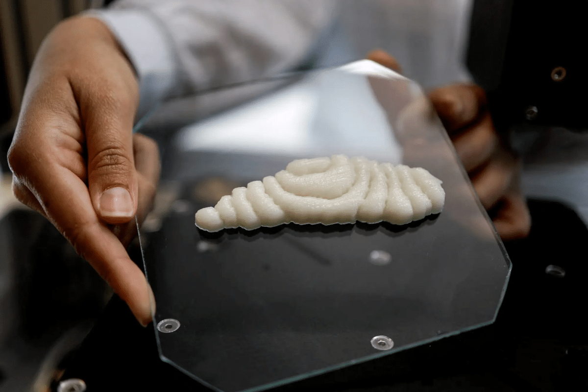 3D printed fish
