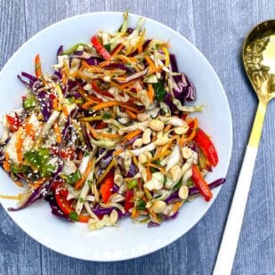 low FODMAP Asian inspired slaw on white plate with serving spoon.