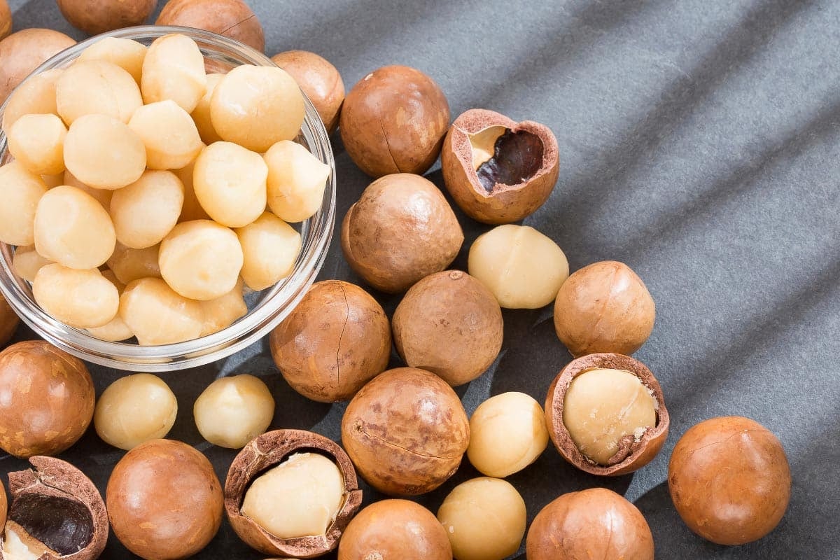 pile of macadamia nuts.