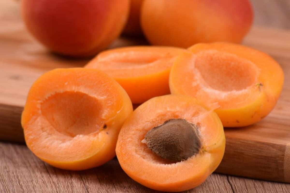 apricot pits.