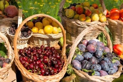 baskets of stone fruit.