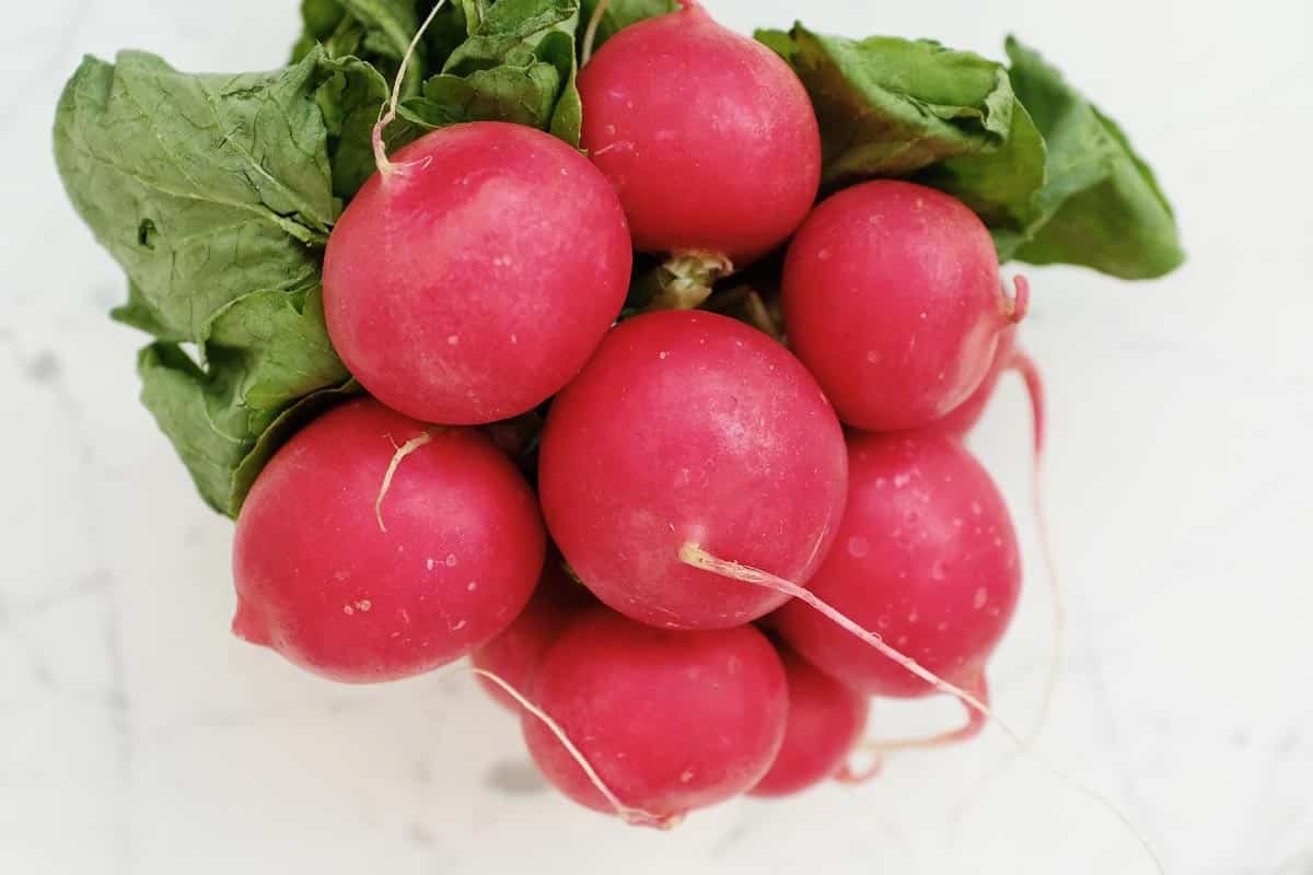 bunch of radishes.