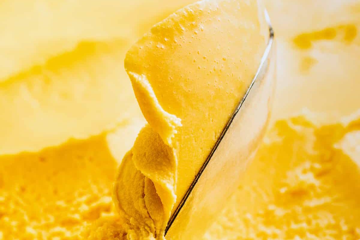 mango-ice-cream-6.