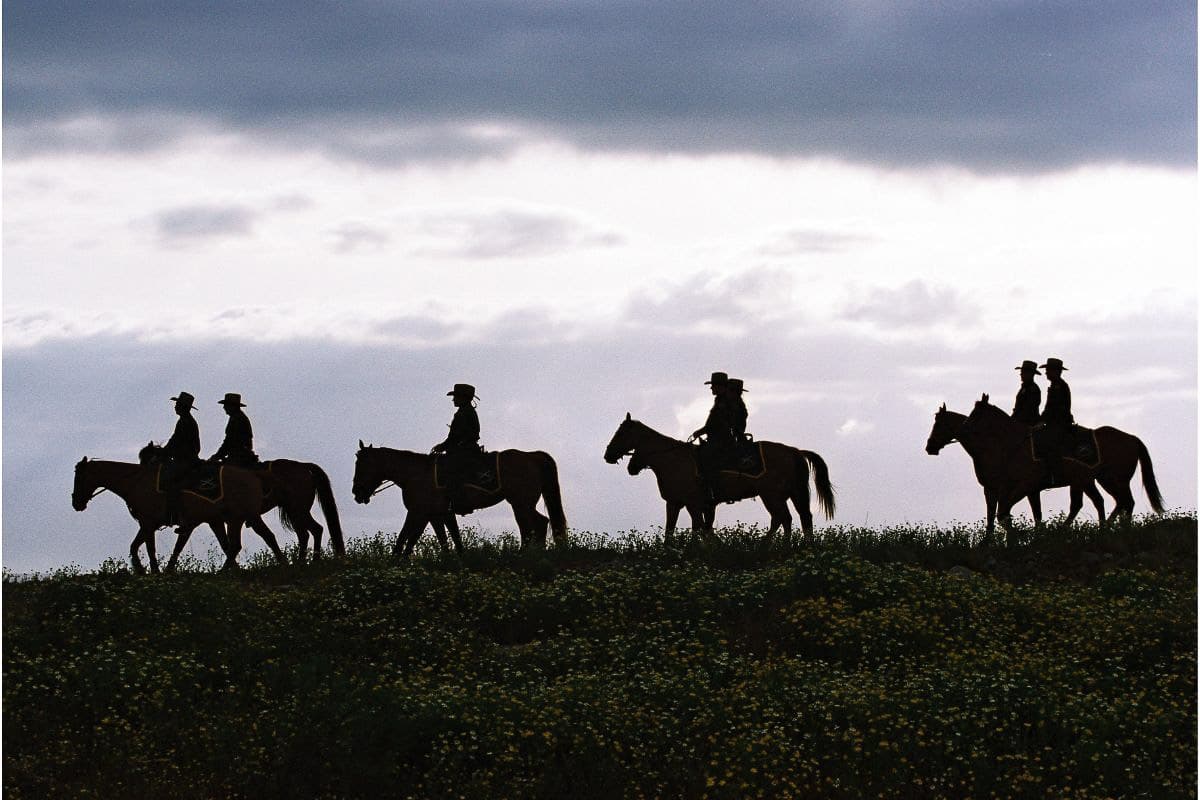 Cowboys on horses in Texas.
