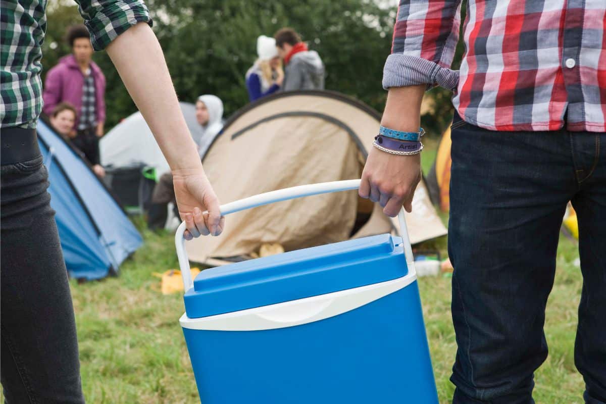 two people holding a picnic cooler between them