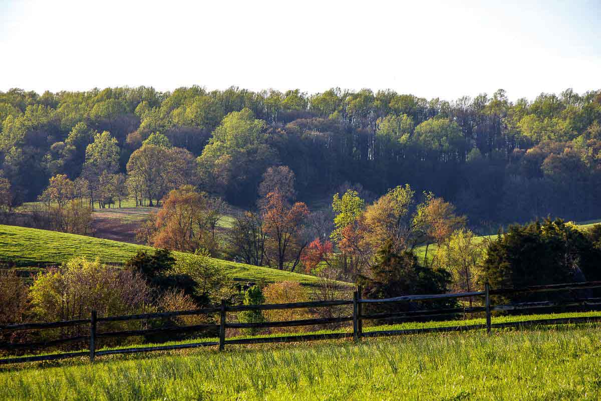 Virginia landscape.