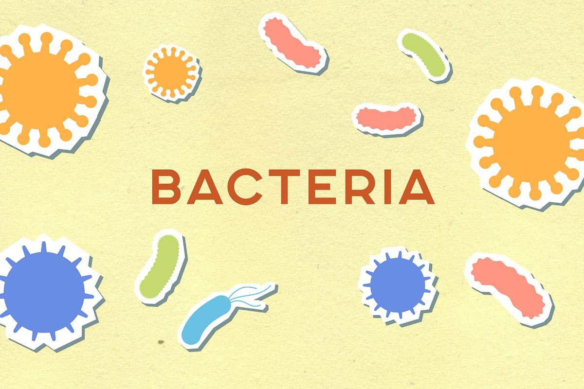 bacteria graphic.