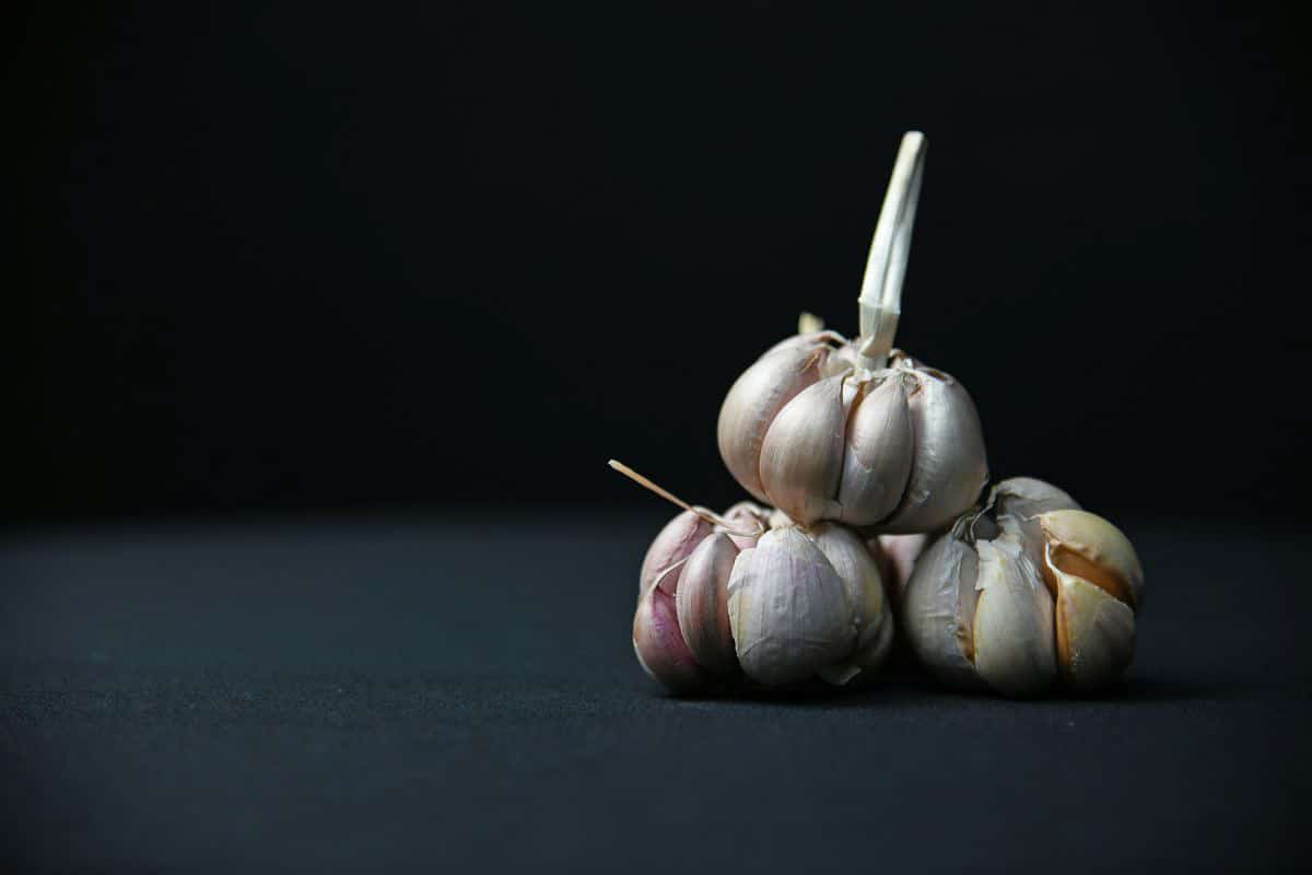 garlic.
