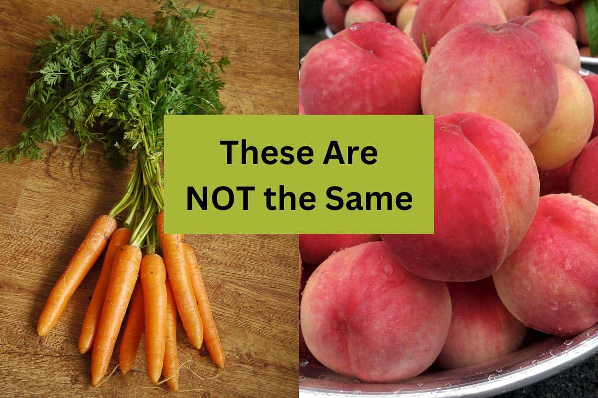 graphic of carrots and peaches.
