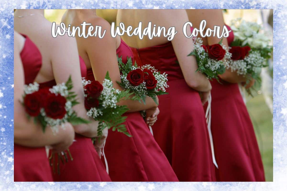 Winter Wedding Party Colors Photo Credit Blake Newman from Pexels via Canva