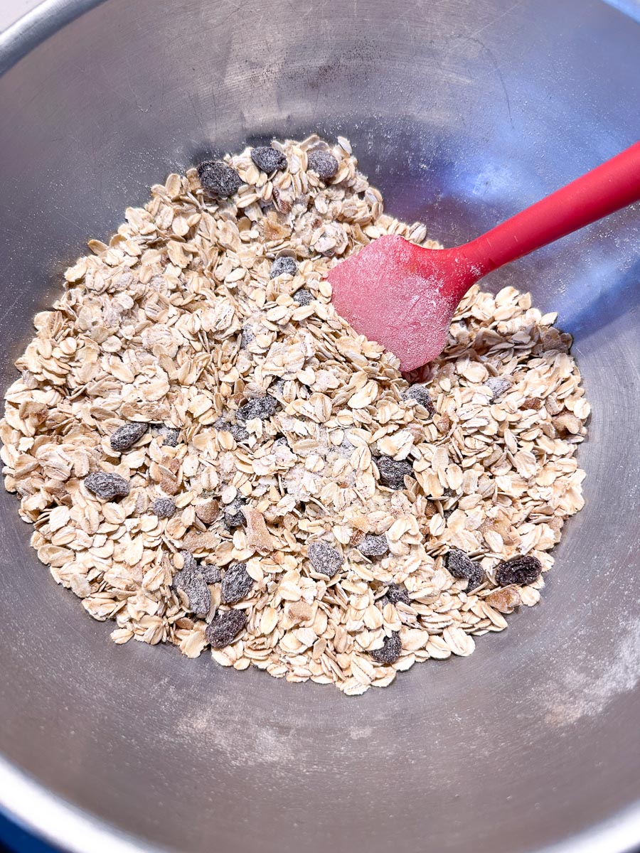 oat mixture combined in bowl.