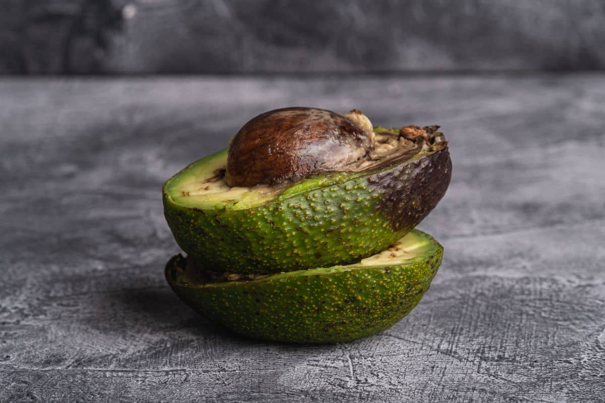 brown avocado