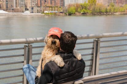 Long Island City, Queens, New York, USA - April 25,2020: Gantry Plaza National Park, Dog and owner best friends are sitting on the bench.