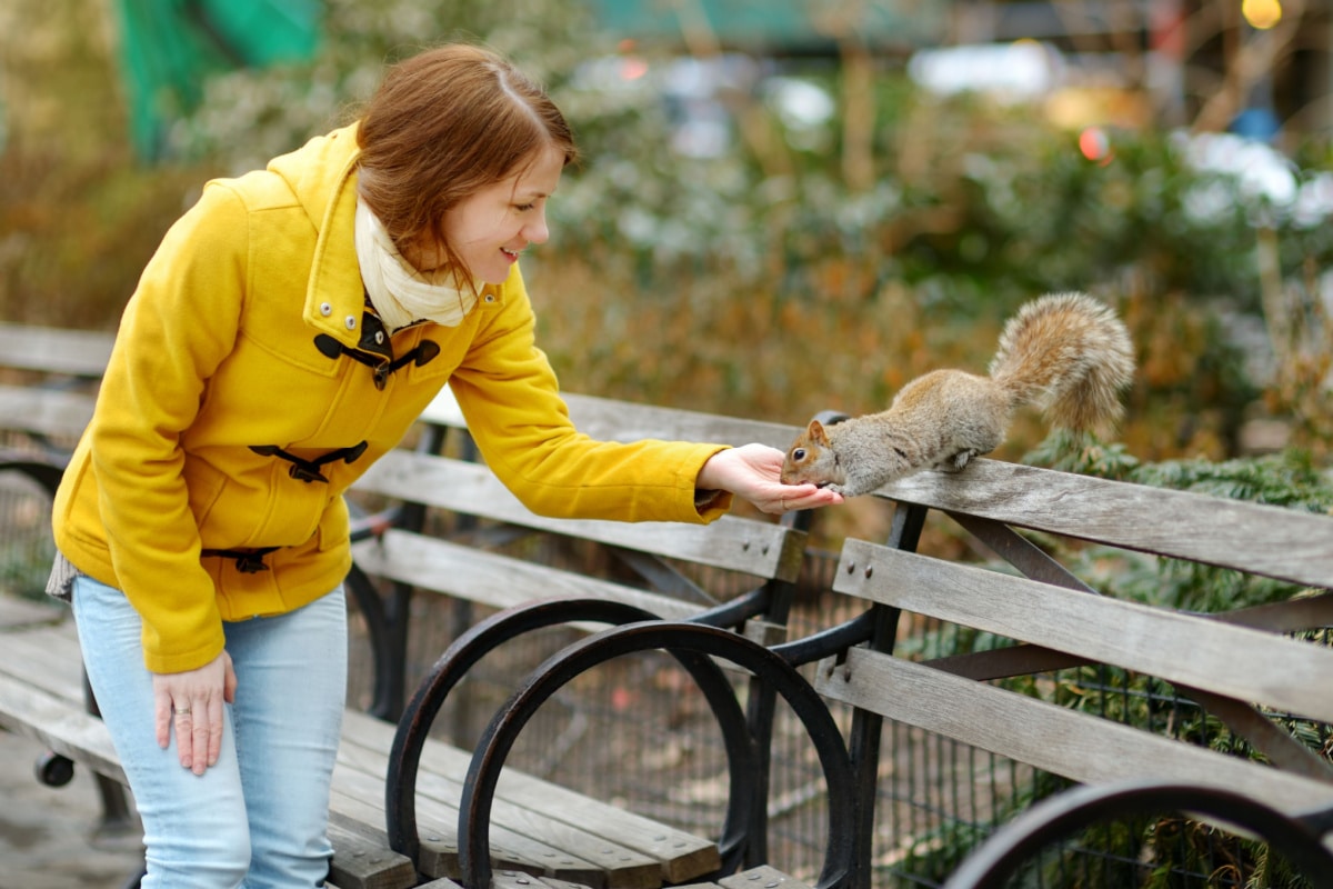 Squirrel greeting girl in park 