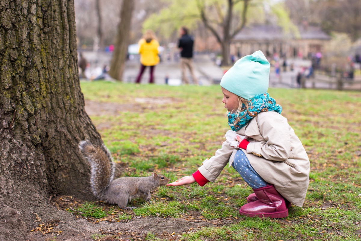 Squirrel in Central Park with child 