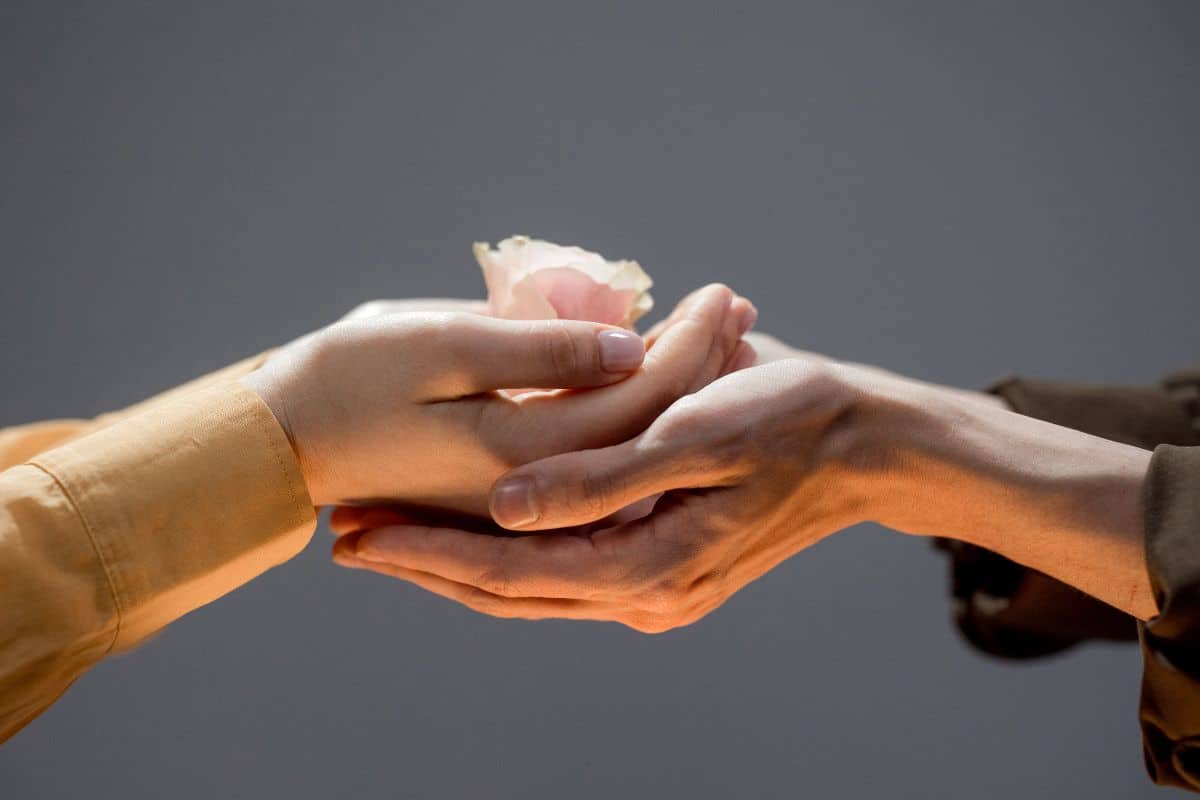 Two people holding flower in hands. 