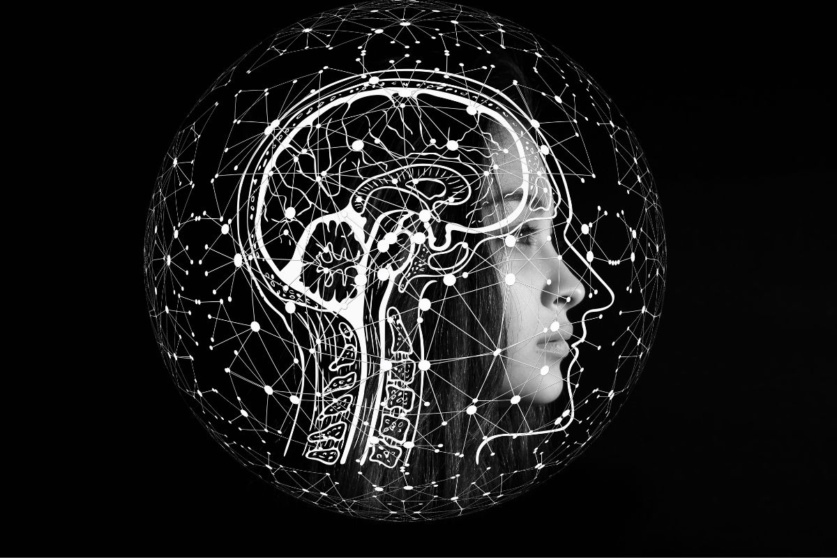 brain scan illustration