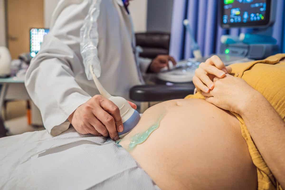 pregnancy ultrasound. Shutterstock_2324328411.