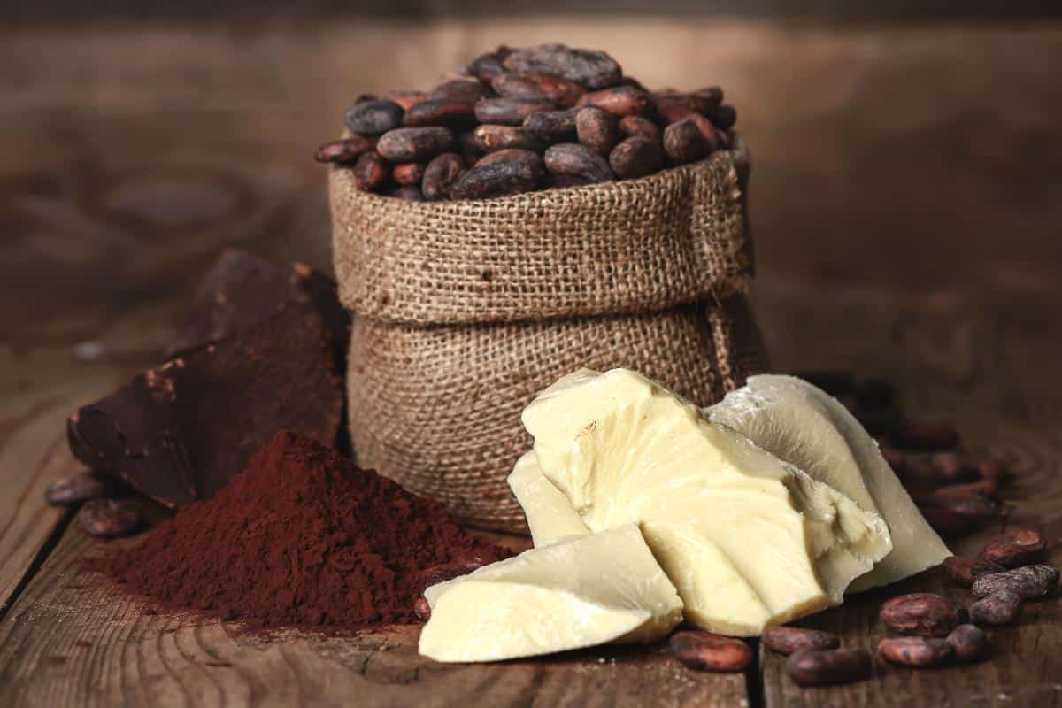 Cocoa beans and cocoa butter. Shutterstock_534469633.