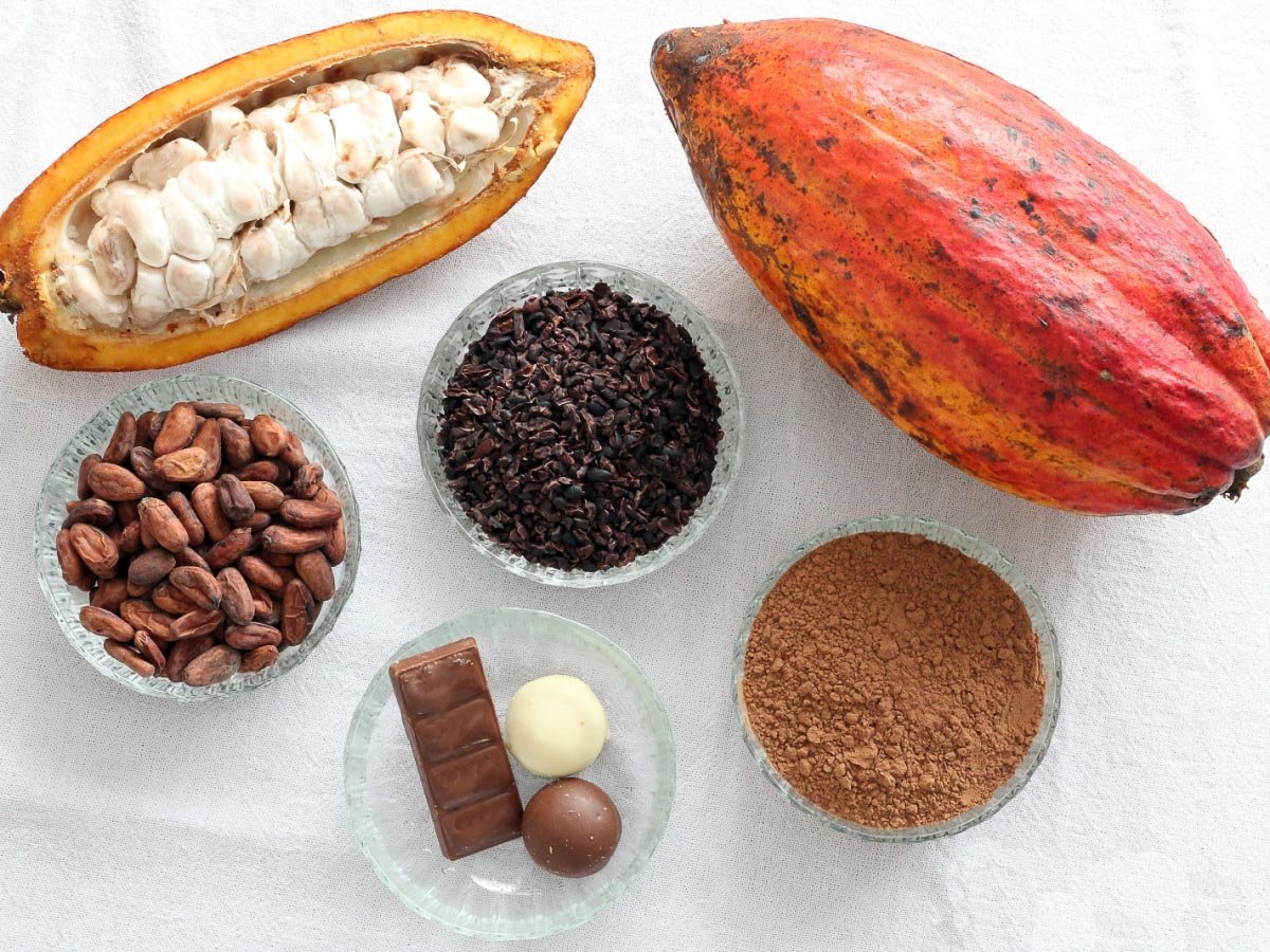 cacao pod, seeds, nibs and cocoa.