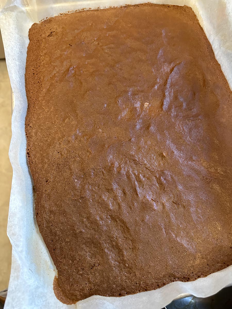 gingerbread cake baked in pan.