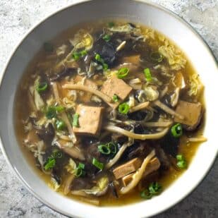Overhead image of Low FODMAP Vegetarian Hot and Sour Soup in white bowl with scallions