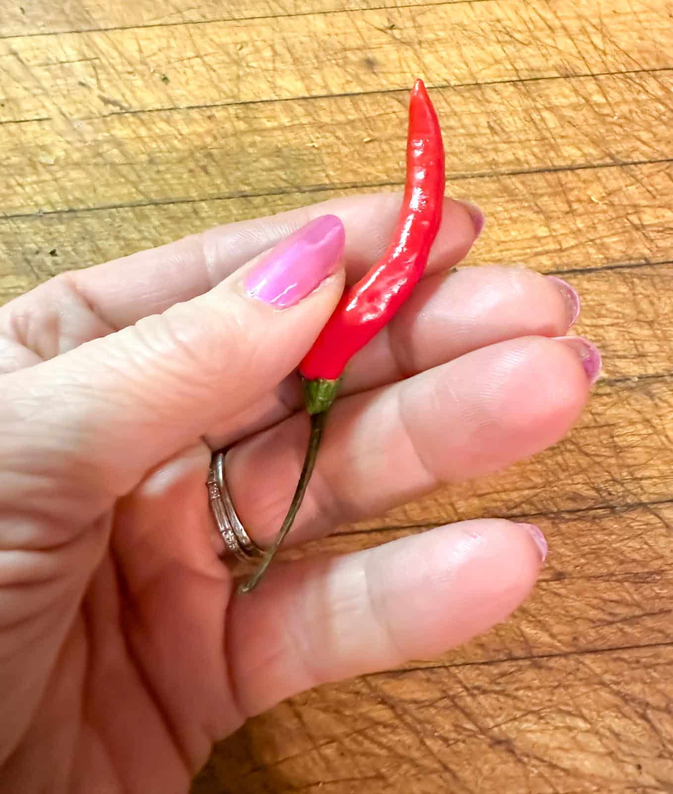 hot red pepper held in hand.
