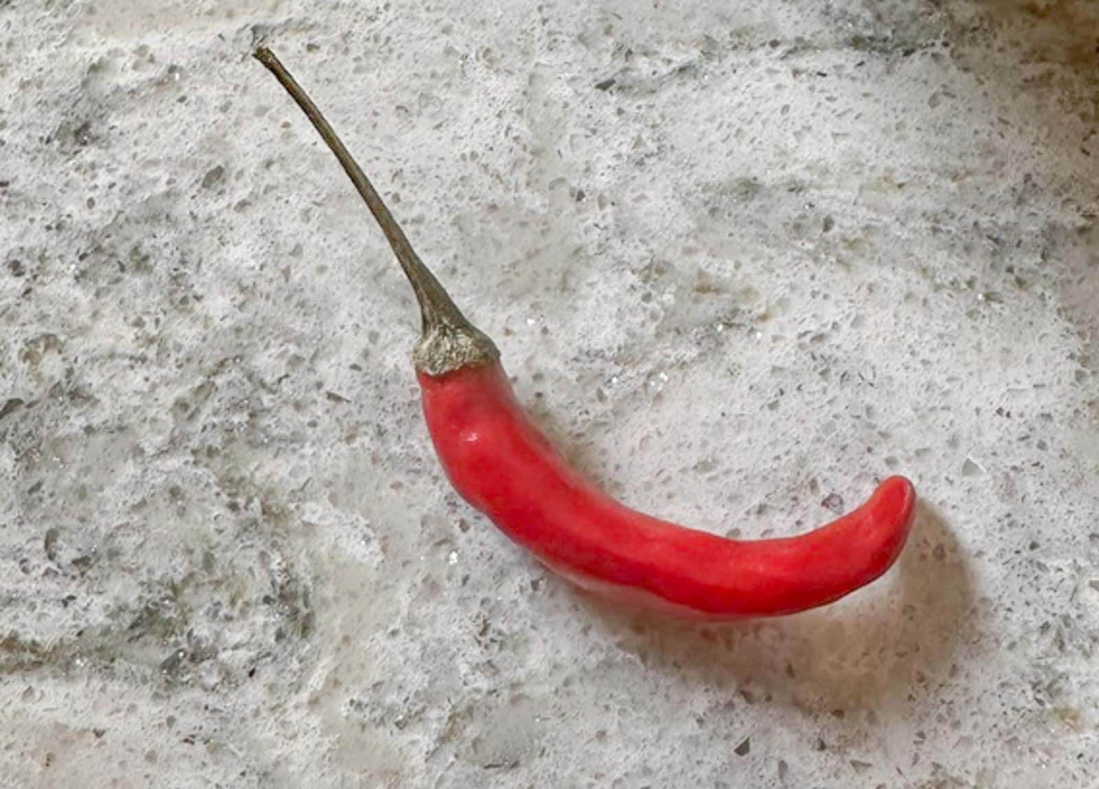 small hot pepper.