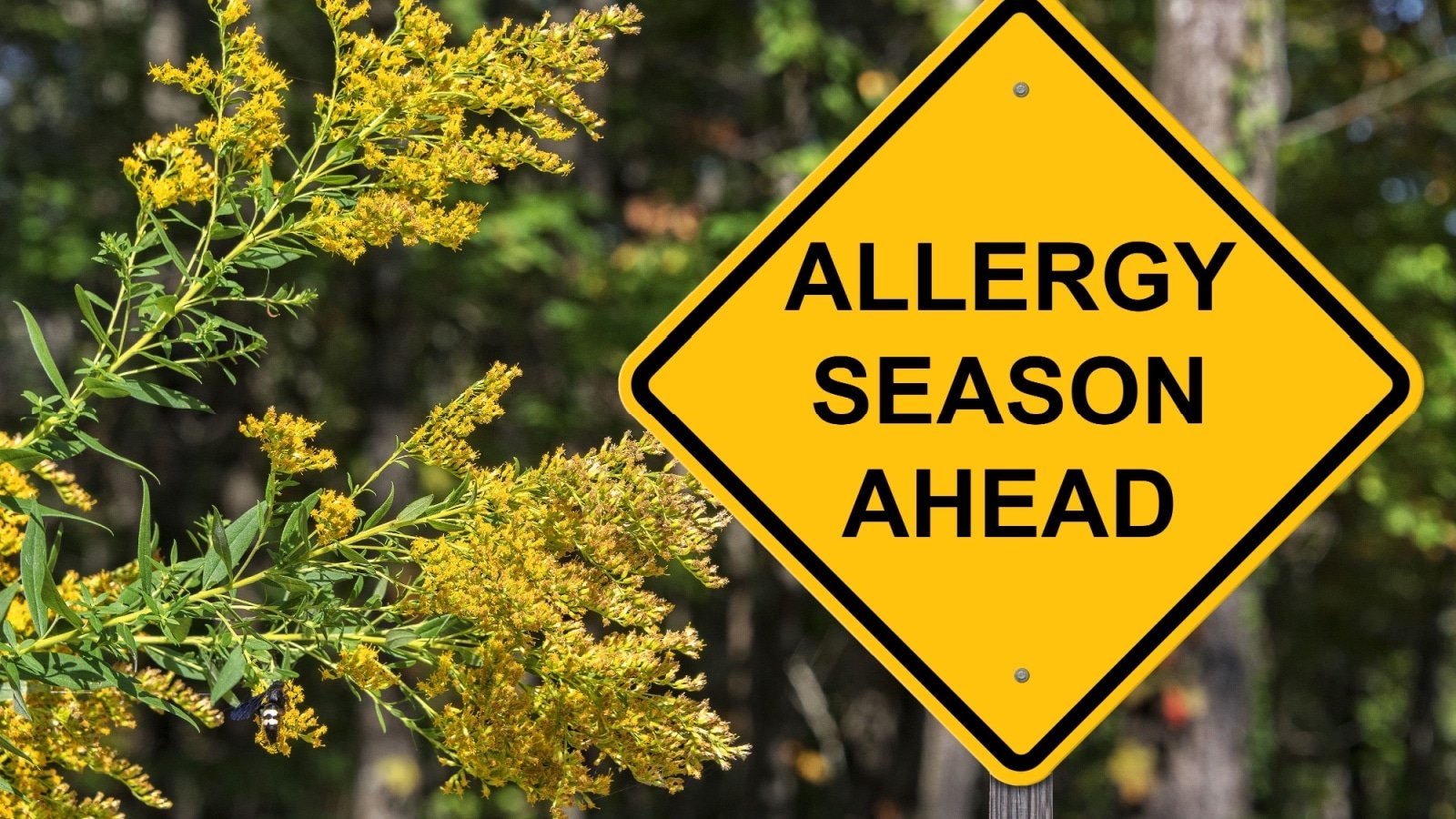 Allergy season ahead. 