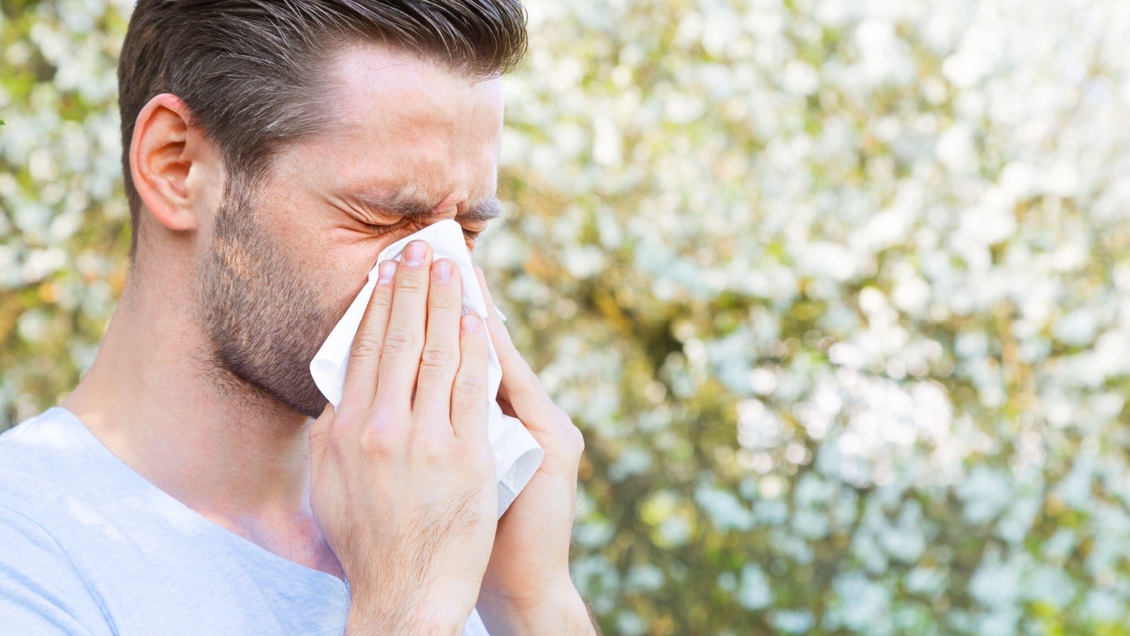 Allergy. Sneezing. 