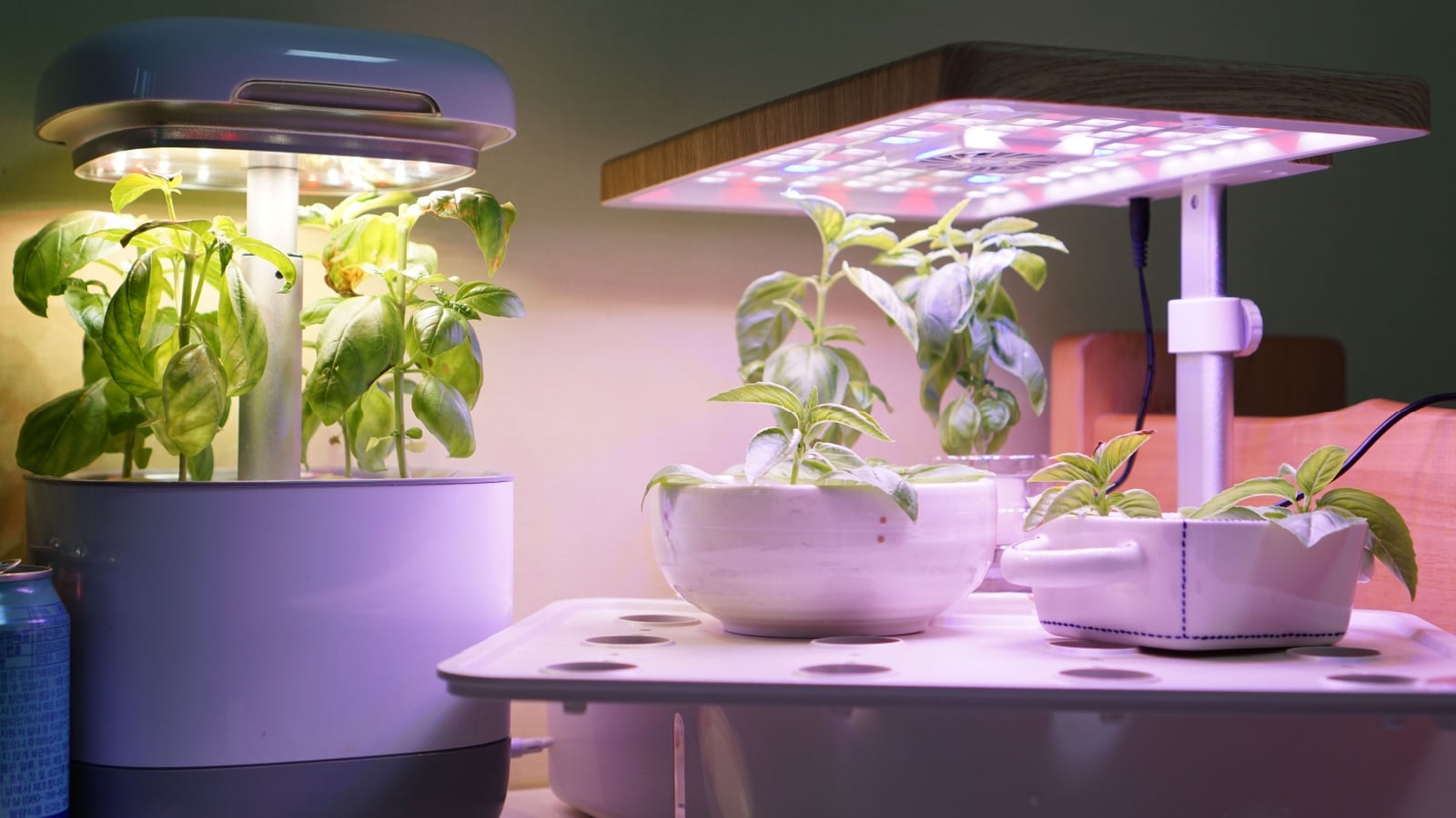 Indoor grow lights. 