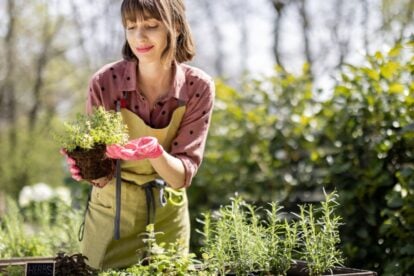 woman gardening.