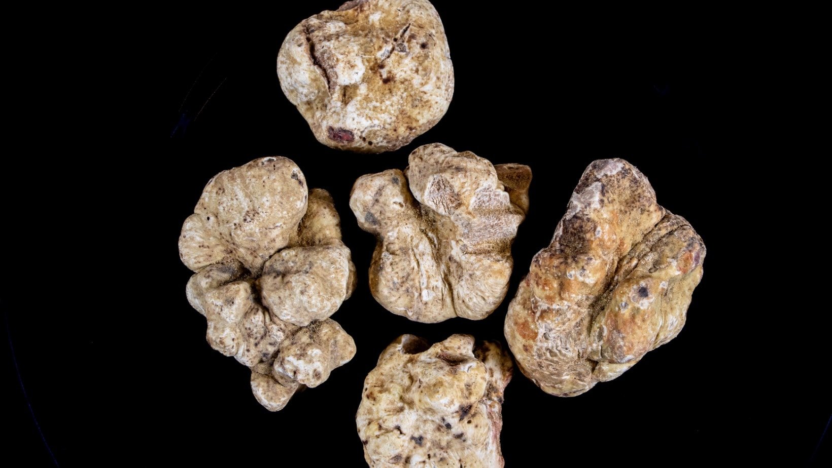 Truffles.