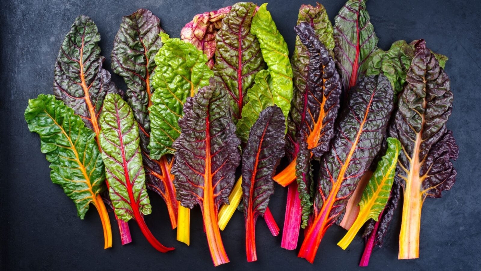 Swiss Chard.