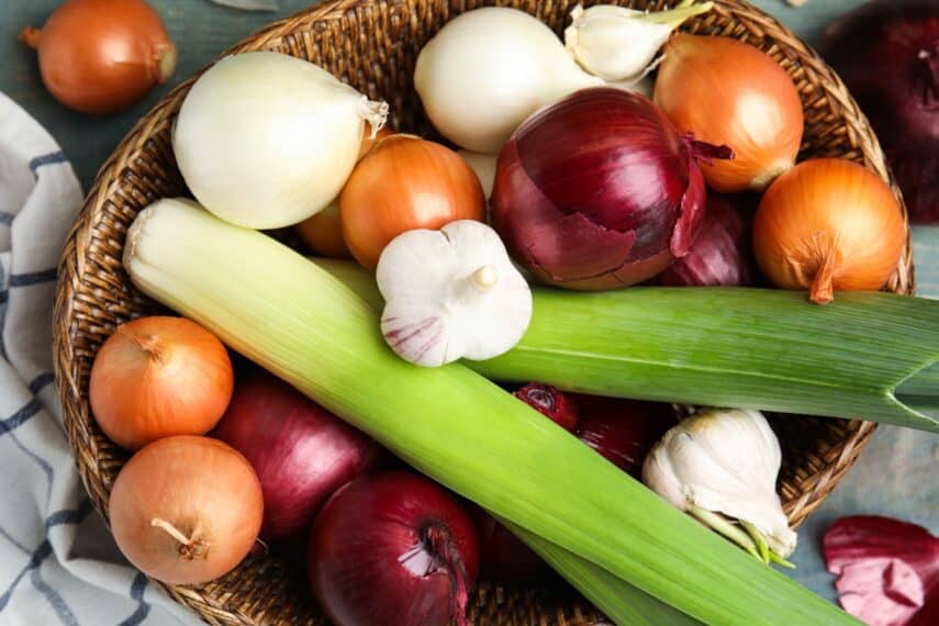 garlic and onion.