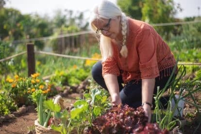 Gardening for food and leisure