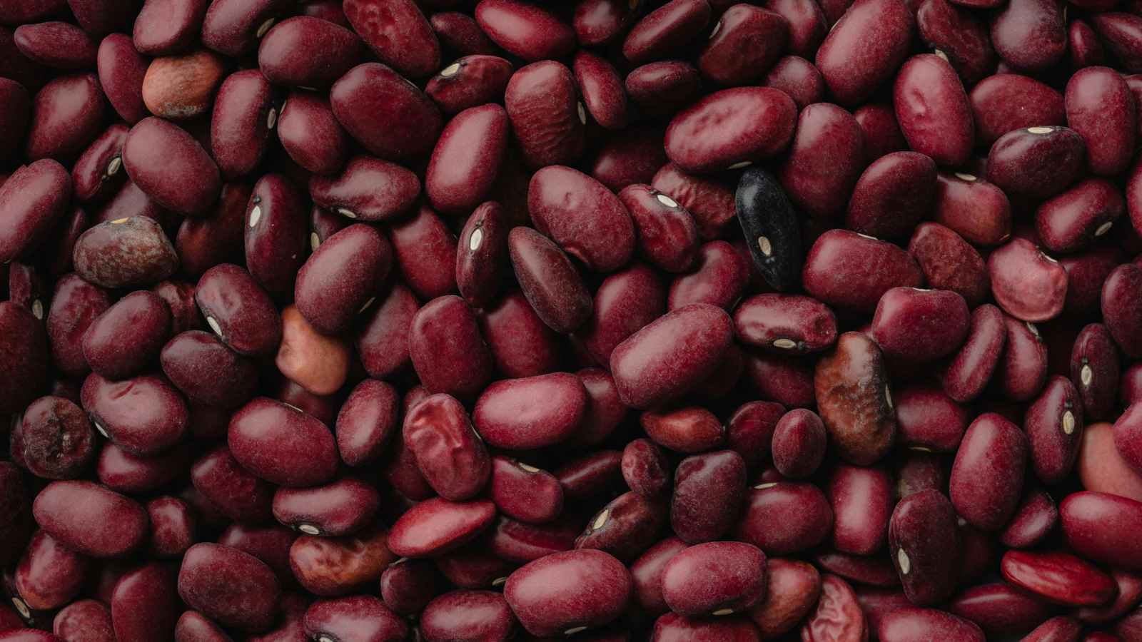 16 Affordable Essentials to Begin Stockpiling Today